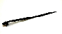 View Band Clip Full-Sized Product Image 1 of 1